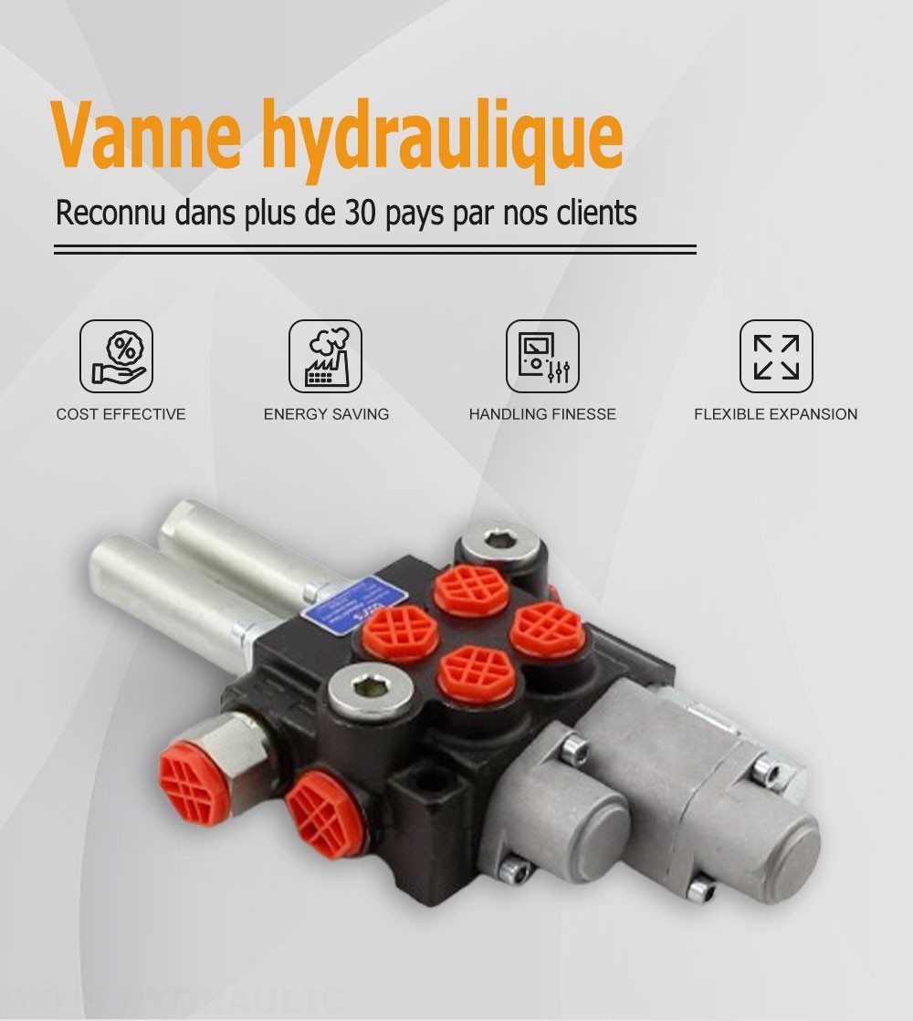 P40 Flottant Câble 2 distributeurs Distributeur directionnel monobloc